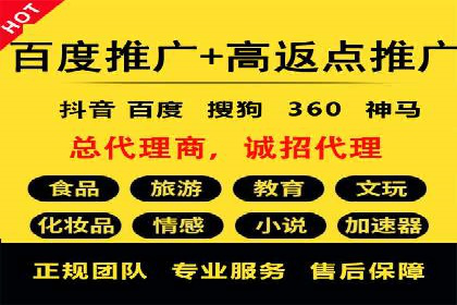 百度竞价推广案例：打造品牌影响力